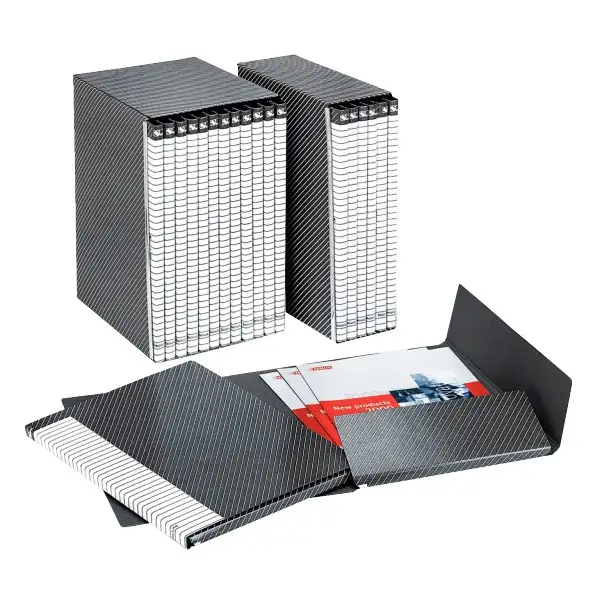 Esselte Delso Line raccoglitore cod. 390955040