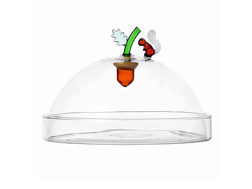 Ichendorf Acorns - Cupola c/ Piatto Ghianda