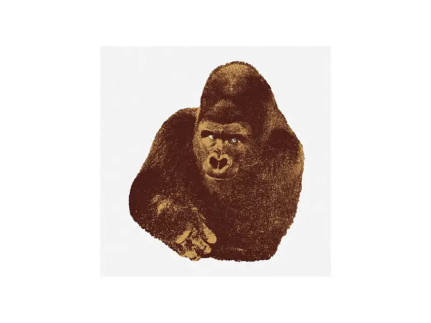 Danese Milano Quindici, Il Gorilla Stampa Artistica Serigrafica