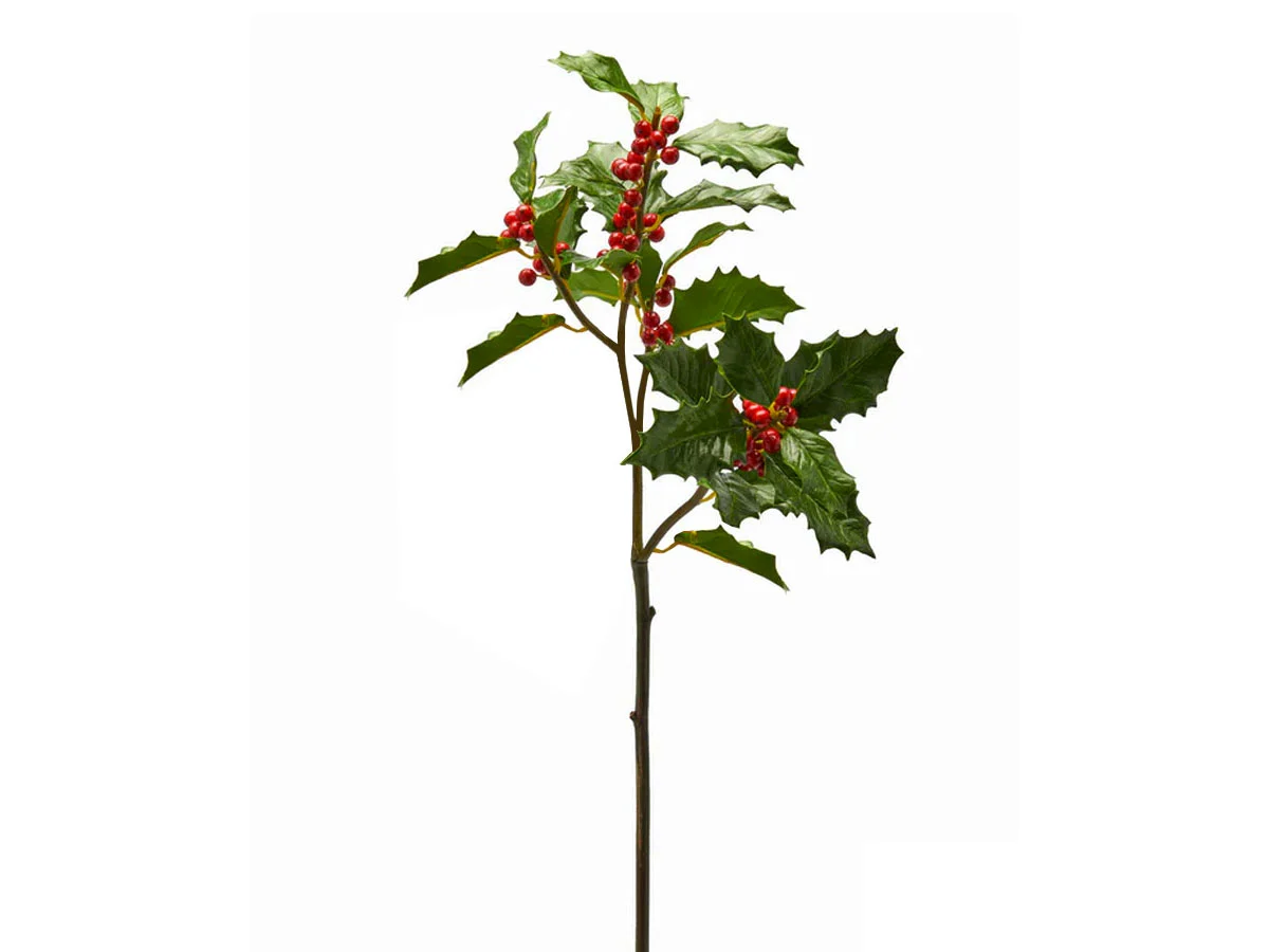 EdG Agrifoglio Bacche Ramo X2 H 65 cm