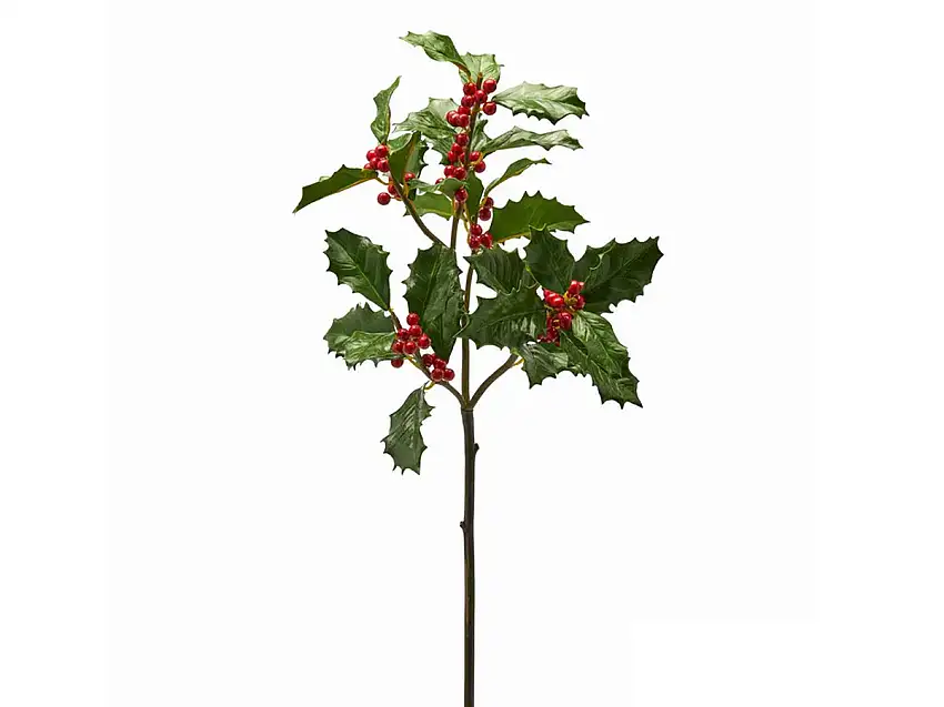 EdG Agrifoglio Bacche Ramo X3 H 72 cm