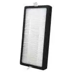 Filtro purificatore Homedics Ricambio AP-DT10FLR