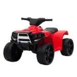 Moto elettrica Biemme by Bcs 1018-R Quad Mini