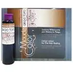 24x Moude Color Fiala Capelli 18 Ml. Grigio Topo (24 Fiale)