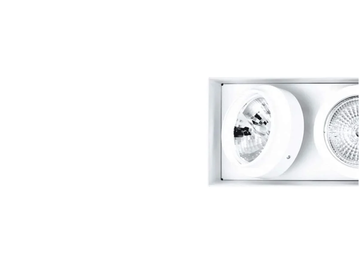 Davide Groppi Punto 2PL Lampada da Soffitto - Bianco Opaco - Con 2 moduli Led